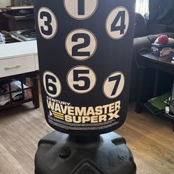 Century Wavemaster SuperX Hitting Bag!