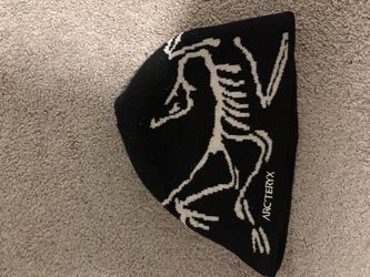 Arcteryx beanie