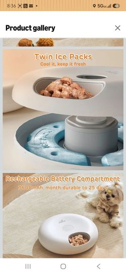 iPettie Donut Frost 6 Meal Cordless Automatic Pet Feeder, Dry & Wet Food Automatic Cat Feeder with Two Ice Packs, Rechargeable Massive Battery, Progra
