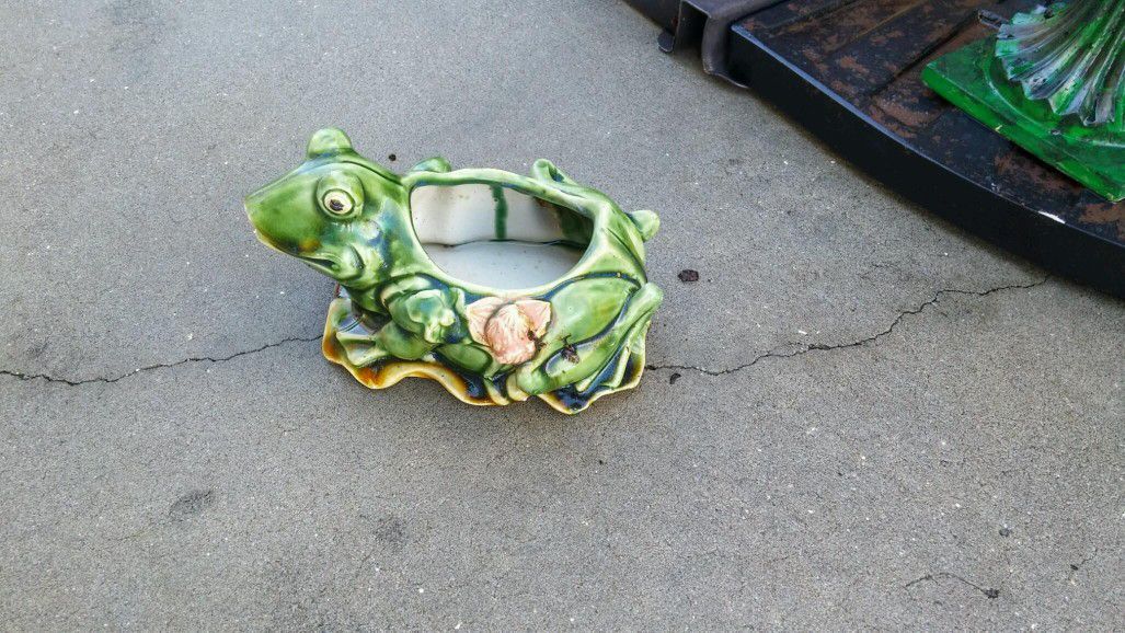 Frog flower pot