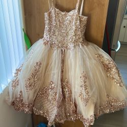 Rose Gold Girls Dress 