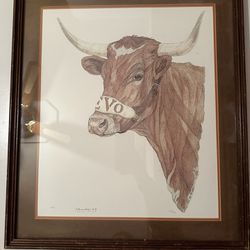 BEVO Cathy Munson McNeil 1982 Pencil, Ink Watercolor Painting Texas Longhorn