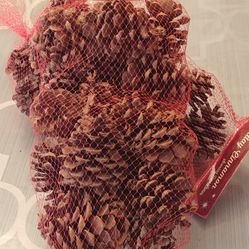 Holiday Cinnamon Scented Pine Cones $1.00 ea.