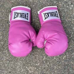 12 ounce Boxing Gloves 
