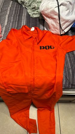 Inmate Halloween costume