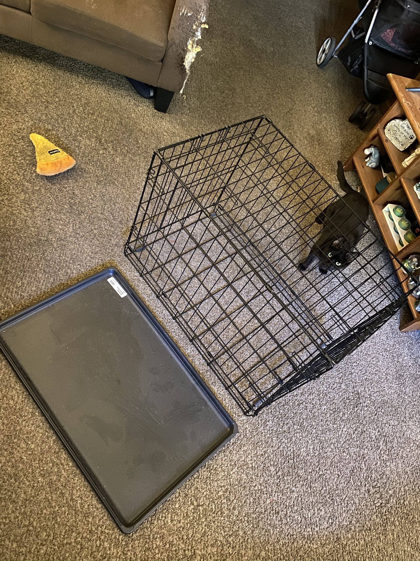 Folding Dog Cage