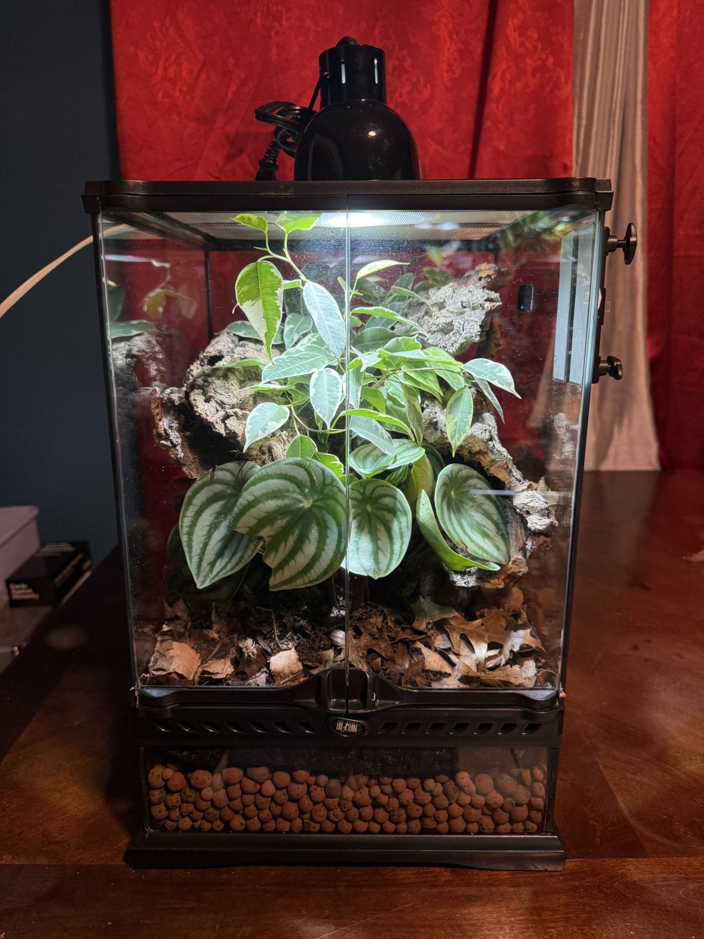 Like New Exo Terra Fully Bioactive Front Opening Reptile Terrarium/Tank! (12in Length x 12in Width x 18in Height)