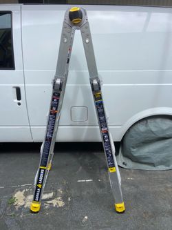 Gorila 18 Ft Extendable Ladder