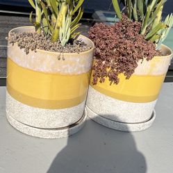 2 White And Yellow Ceramic Pots