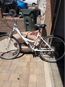 Tamarack mishiki bike