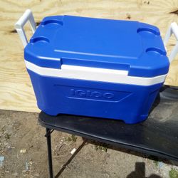 IGLOO COOLER 