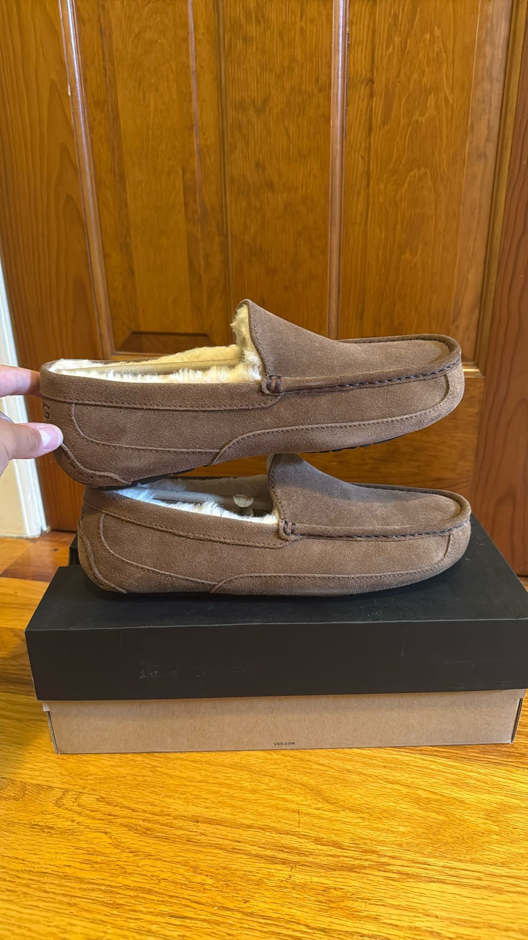 Brand New Chesnut Ugg Ascot Size 10