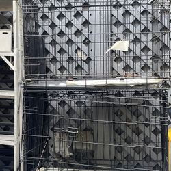 Cages