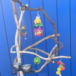 Small Bird Perch Tree… Cockatiel Conure Ringneck Hangout Spot … Lots Of Birdee Fun … Breeder Direct Low Price ! 