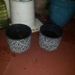 2flower Pots