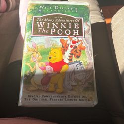 The Many Adventures Of Winnie The Pooh