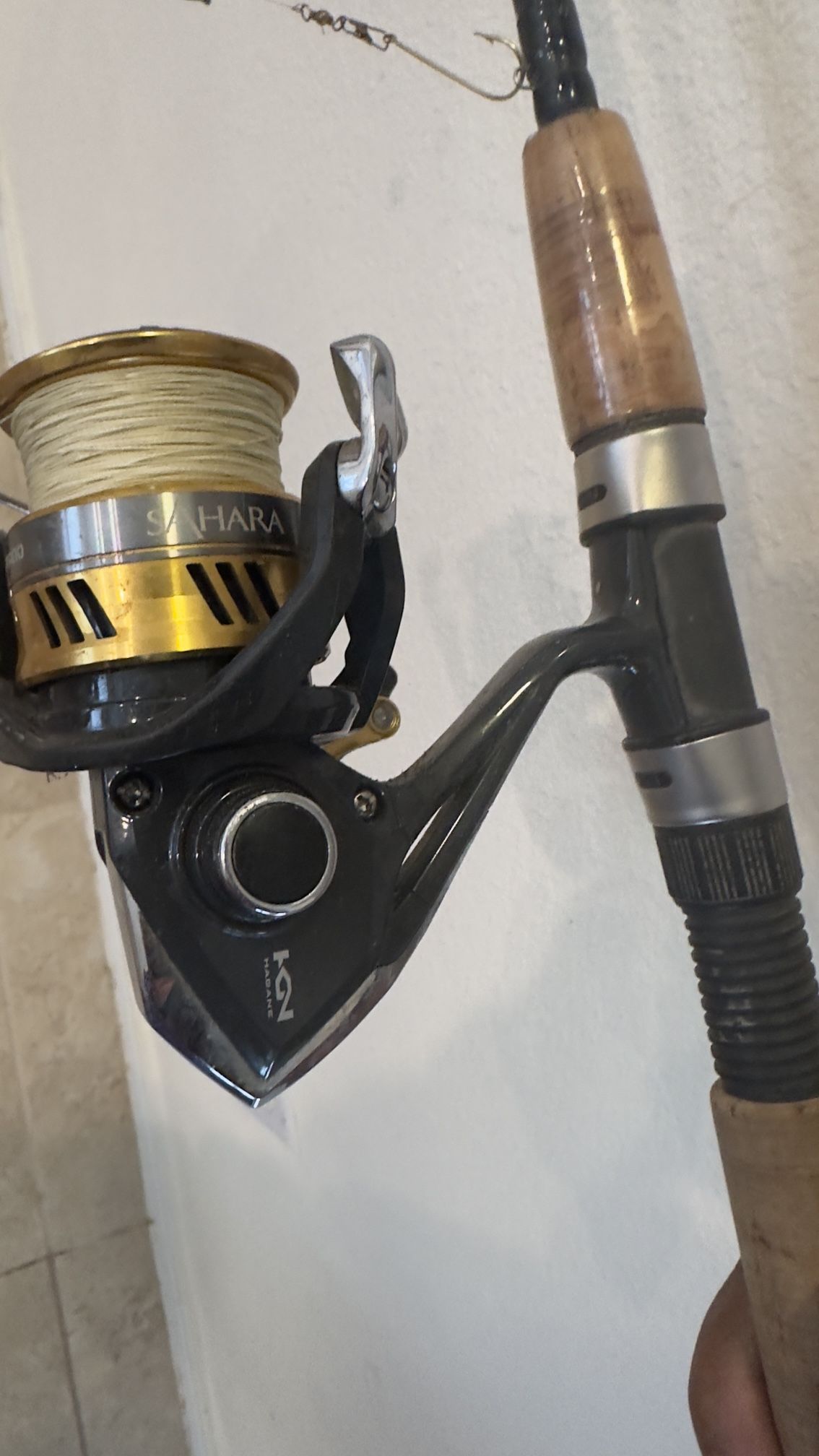 Shimano Reel and Rod