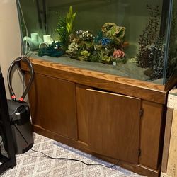 90 Gallon Aquarium