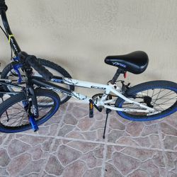 Bicycle Two For $62