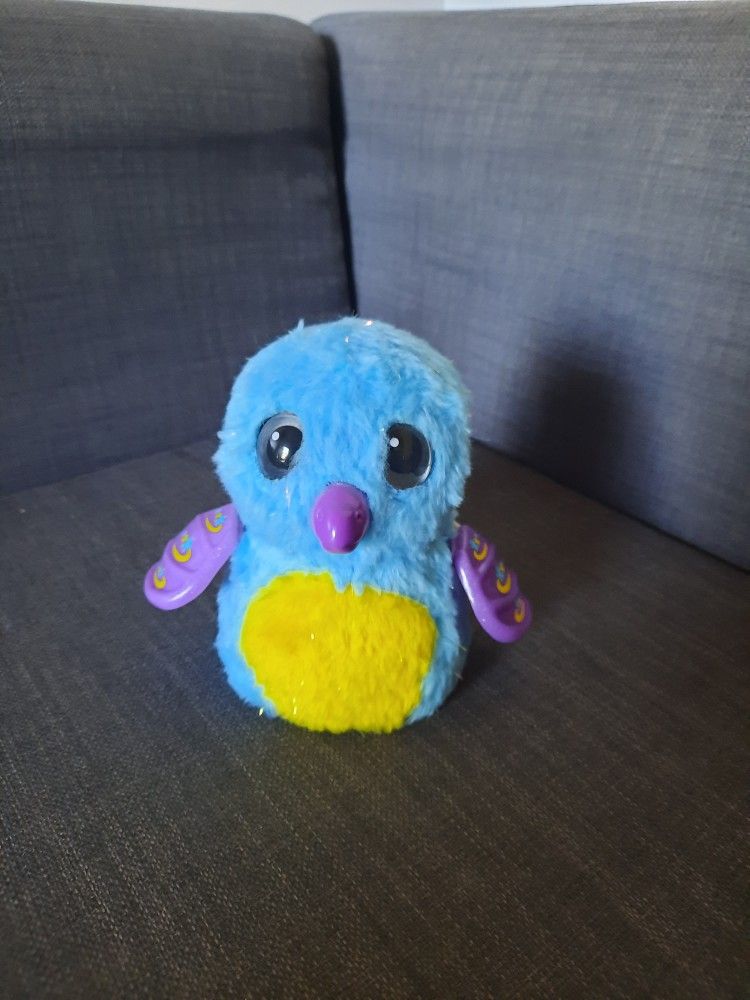 Hatchimal Walks and Talks