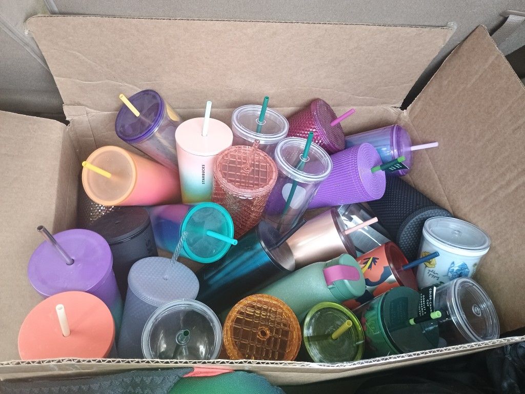 Starbucks Cups