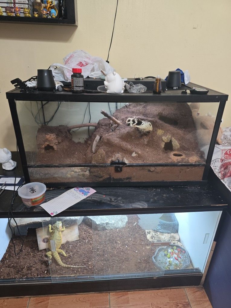 Reptile Tank 40 Gallons