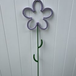 Garden Horseshoe Flower