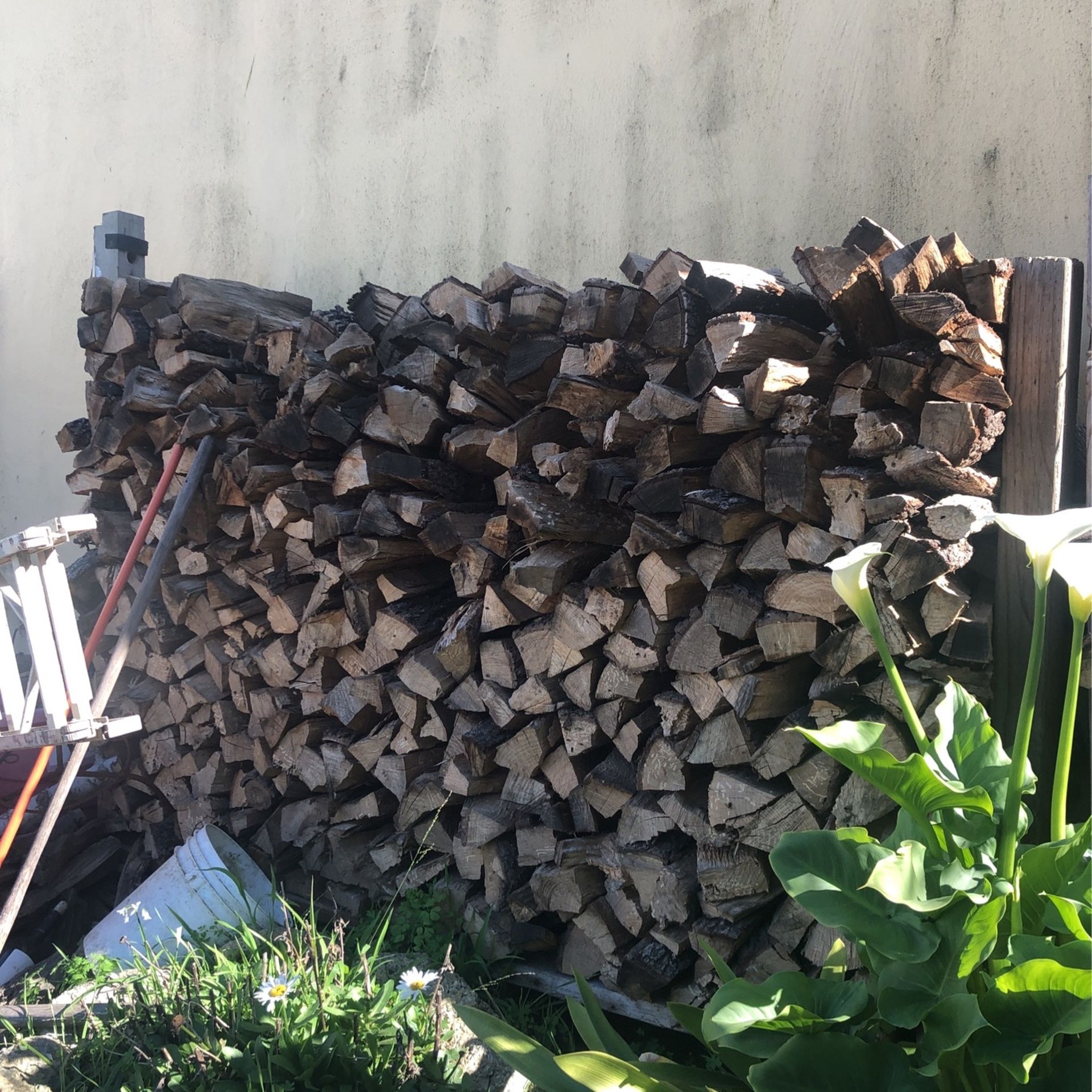 Oak firewood