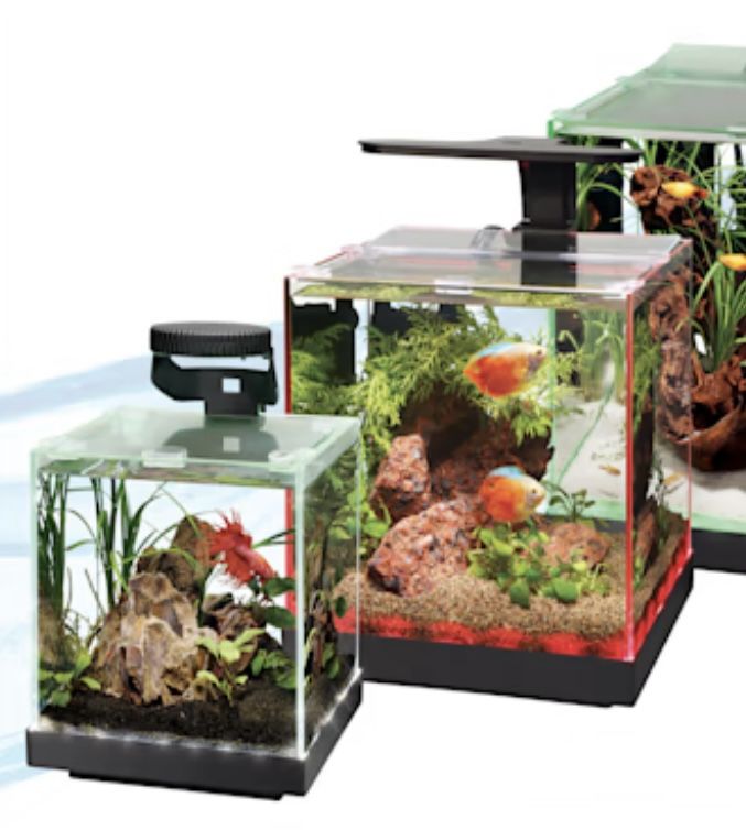 FISH TANK