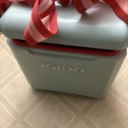 Cooler IGLOO 