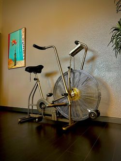 Schwinn Airdyne