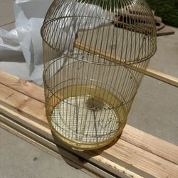 beautiful gold bird cage