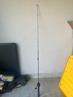 Fishing rod
