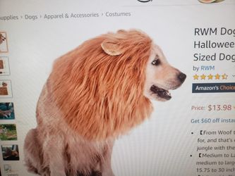 Dog Halloween costume