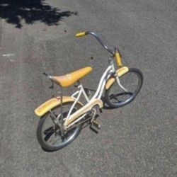 Rare vintage collectible Huffy bike cactus flower