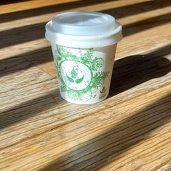 NEW Tree Kit Cup: Grow Your Own Tree/ House Plant/ Indoor Plant Flower  Activity