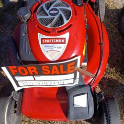 Self Propelled Mower And Push Mower For Sale