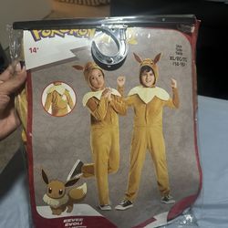 Pokémon Costume