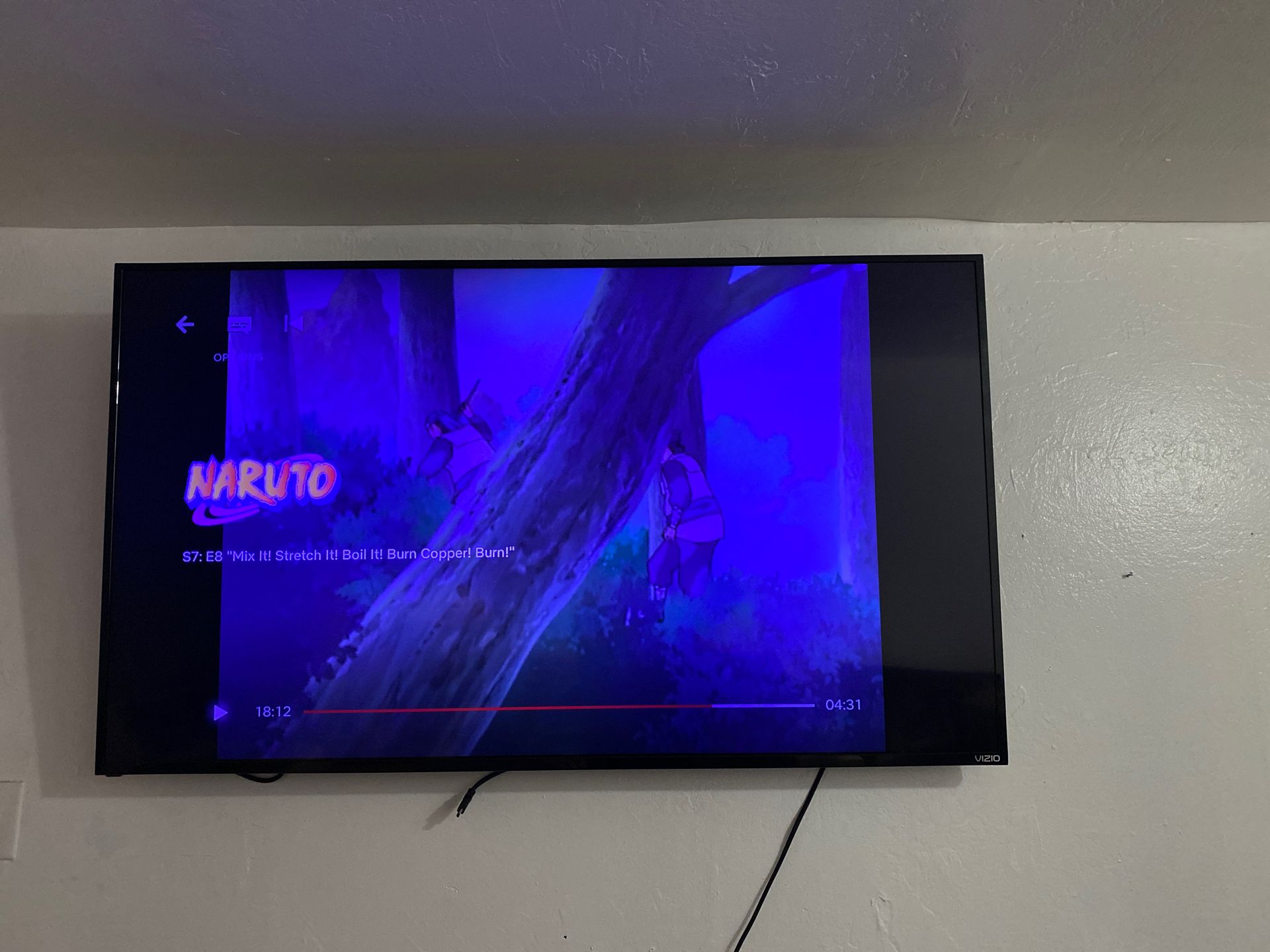 Vizio TV