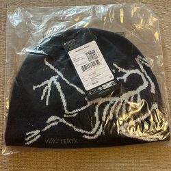 Arc’teryx beanie