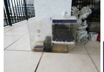 Salt water Tank filter