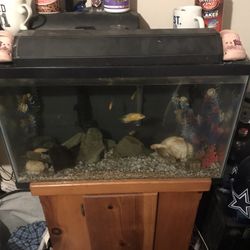 Fish Tank