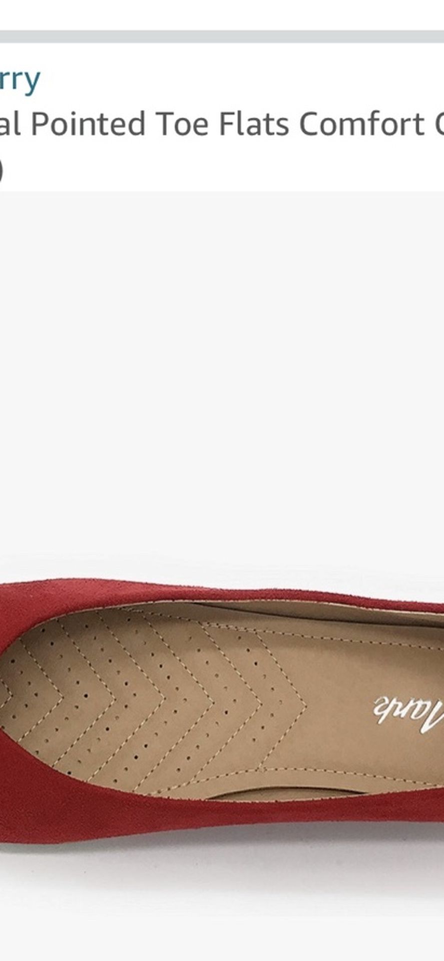 Never Worn. Brand New Stilleto Point But Comfortable Flats.