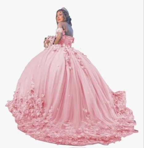 Blushing Rose Quinceañera Ball Gown with 3D Floral Appliqués