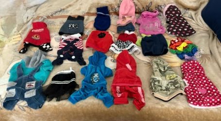 Size Sx clothes for dogs