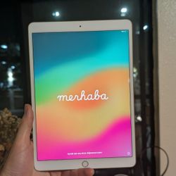 iPad Pro (A1701) with Apple Pencil 256GB