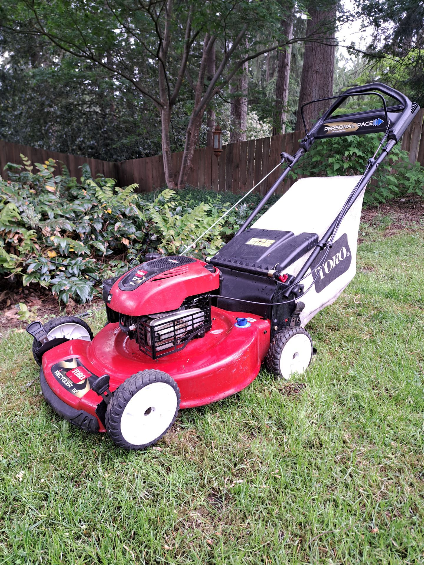 TORO RWD Self-Propelled Mower - serviced can deliver