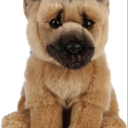 Dog Pastor A 