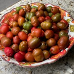 Siruelas frescas  a  $ 1 . 50 la libra  estan  hermosas 
