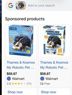 Robotic Pet